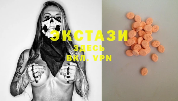 стаф Белокуриха