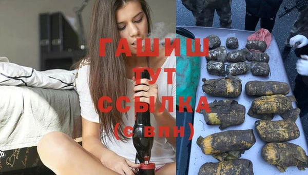 стаф Белокуриха