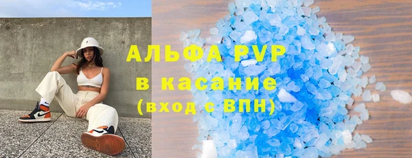 стаф Белокуриха