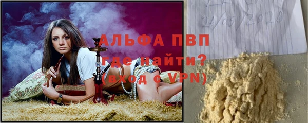стаф Белокуриха