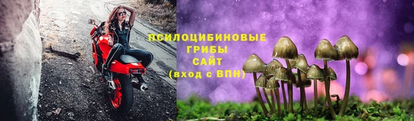 стаф Белокуриха