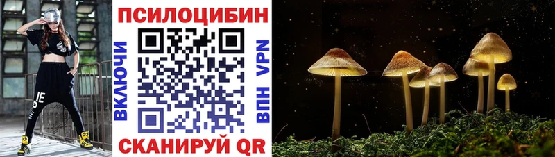 блэк спрут tor  Бузулук  Галлюциногенные грибы мухоморы 
